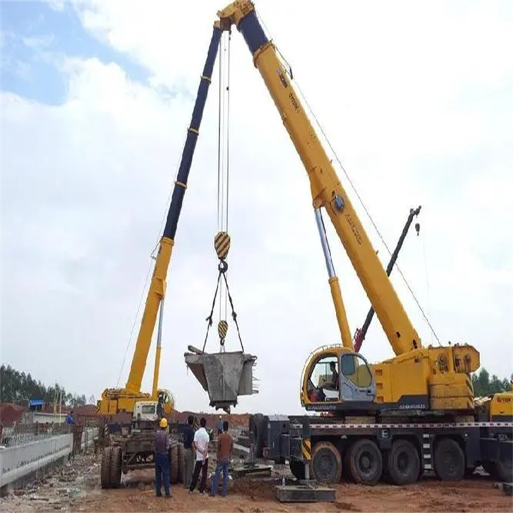 郁南小型吊机出租电话|厂房设备吊装方案|24小时服务覆盖